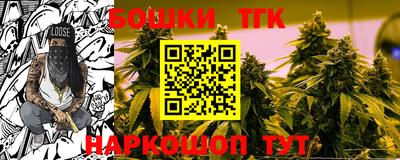 стаф Лесосибирск