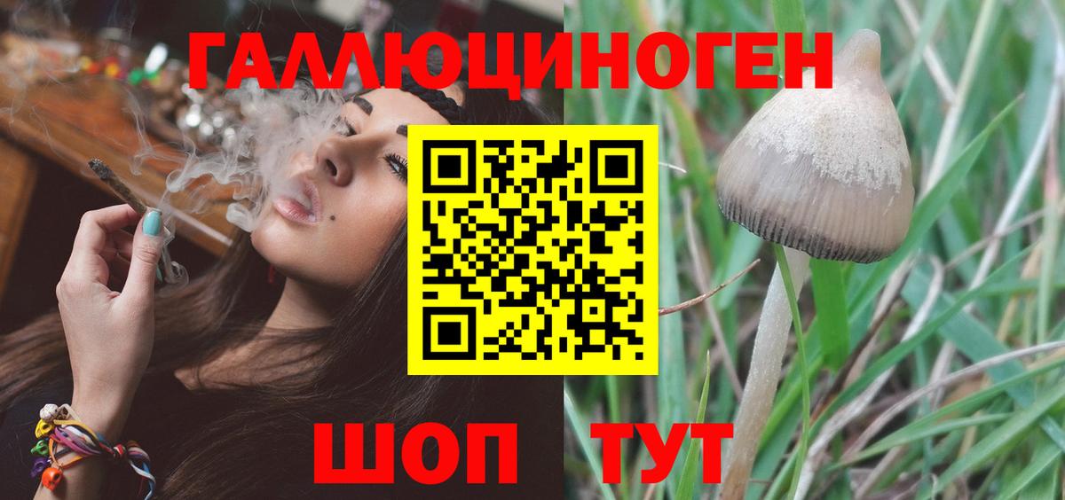 Донской  Галлюциногенные грибы Magic Shrooms  Вход с VPN 