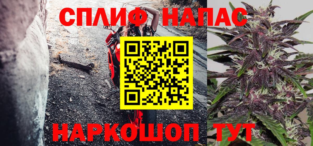 Конопля SATIVA & INDICA Донской